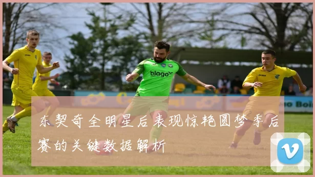 东契奇全明星后表现惊艳圆梦季后赛的关键数据解析